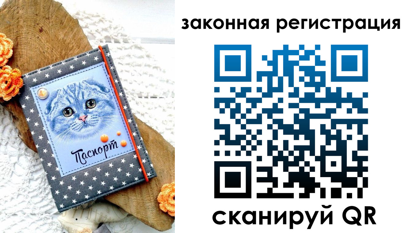 регистрация в Можге